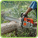 tree work